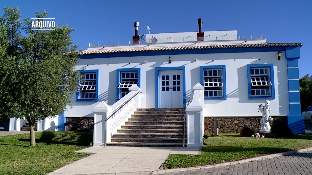 Rio Grande do Sul Terá Rota Turística Inédita Integrando Azeites