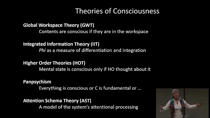 Susan Blackmore - Illusionism and the psychedelic experience