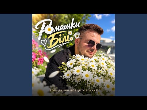 Ромашки білі