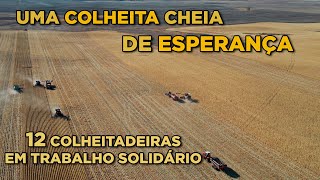 COLHEITA SOLIDÁRIA - FAZENDEIRO MORRE E VIZINHOS SE UNEM PARA COLHER  E AJUDAR A FAMILIA EP-139