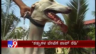 Karnataka's Mudhol Dogs Ready to Enter Indian Defence