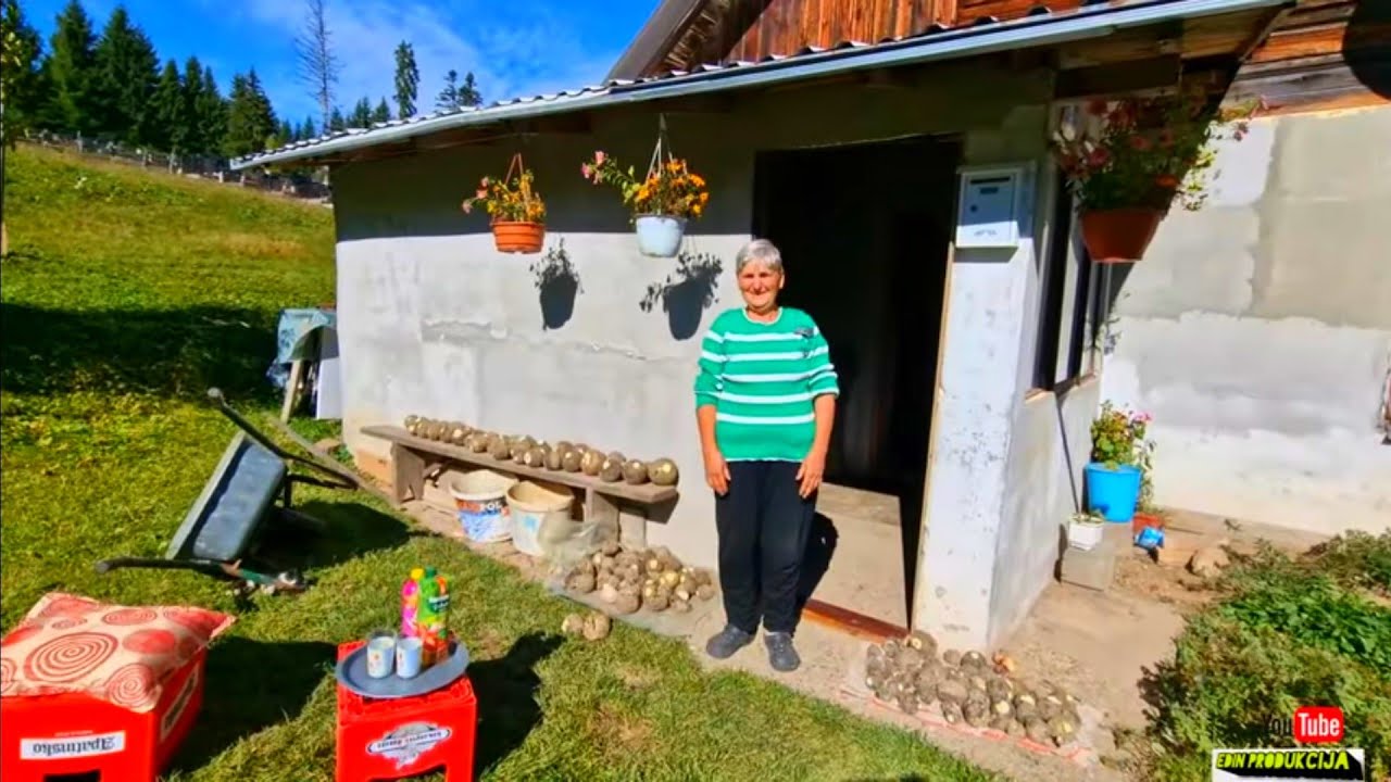 Sama živi baka Vasilija  : Sa 72 godine uzgaja najzdraviji kupus rotkvu pasulj vezem i pletem 