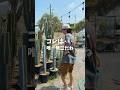 サボテンのブランチって知ってる？#園芸 #shorts