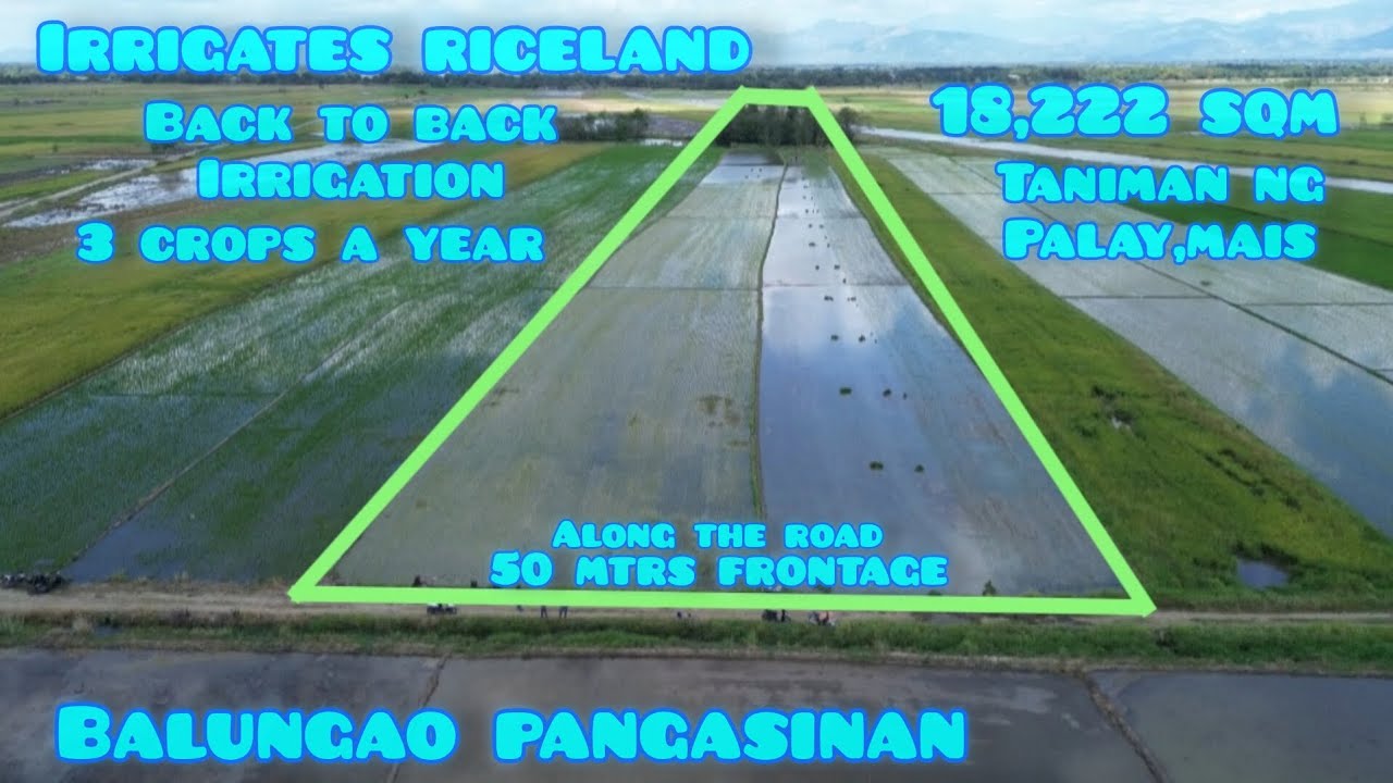 Участок № 767. Орошает рисовые поля, 3 урожая в год, фасад 50 метров, 3 минуты езды по провинциал...