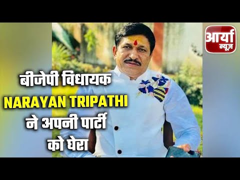 Maihar - बीजेपी विधायक Narayan Tripathi ने अपनी पार्टी को घेरा | क्या बोले त्रिपाठी ? Aaryaa News