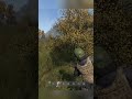 Замес под Алькатрасом. Просто Dayz.