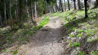 2026-04-24 PIESZO RZYKI - SCHRONISKO POD LESKOWCEM