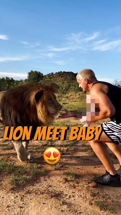 Lion Meet Baby😳😍