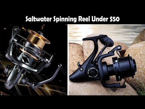 The 7 Best Saltwater Spinning Reel Under $50 for 2023 