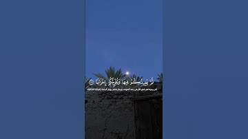 ياسر الدوسري | سورة نوح