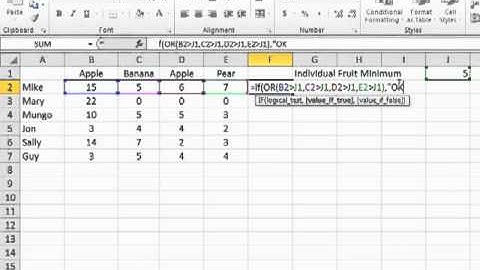 Learning Excel 2010 Using The OR Operator in Excel