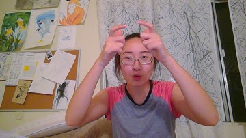 Using Descriptive Classifiers to Describe Objects: SASS