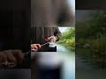 🔧 Teil 5: Bürsten wechseln beim Dolphin Poolroboter