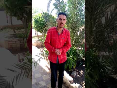 نحن نشهد الله تعالى اننا نحب مصر عبدالباقي عرفة