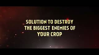 New Product Launch Teaser - May 2022