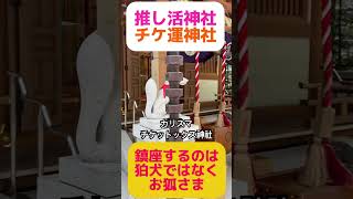 【SnowMan】「推し活神社」「チケ運神社」カリスマチケットックス神社!これを見たスノ担のチケット🎟️が次のLIVE当たりますように!#snowman #カリスマックス