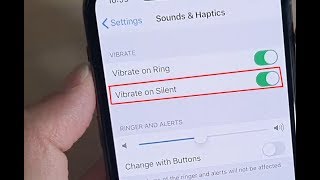 iPhone 11 Pro: How to Enable / Disable Vibrate on Silent screenshot 3