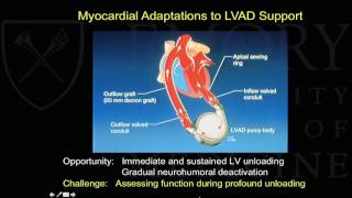 Emory Cardiology Lecture: 03-14-2017