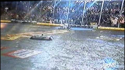 battlebots, hazard and misty the wonder bot