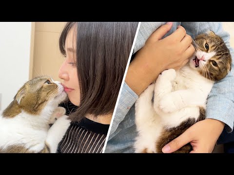 飼い主によってお出迎えの態度が違いすぎる猫がこちらです…w