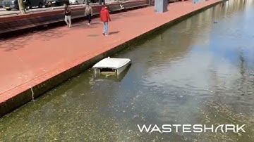 Wasteshark