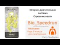 9. Кости (Speedrun анатомия 8 класс, ЕГЭ, ОГЭ 2021)
