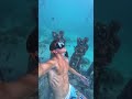 the funnest thing to do freediving #freediving #travel #snorkelling #gilit #indonesia