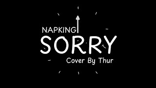 Download Lagu Sorry - Napking Cover by Thur MP3