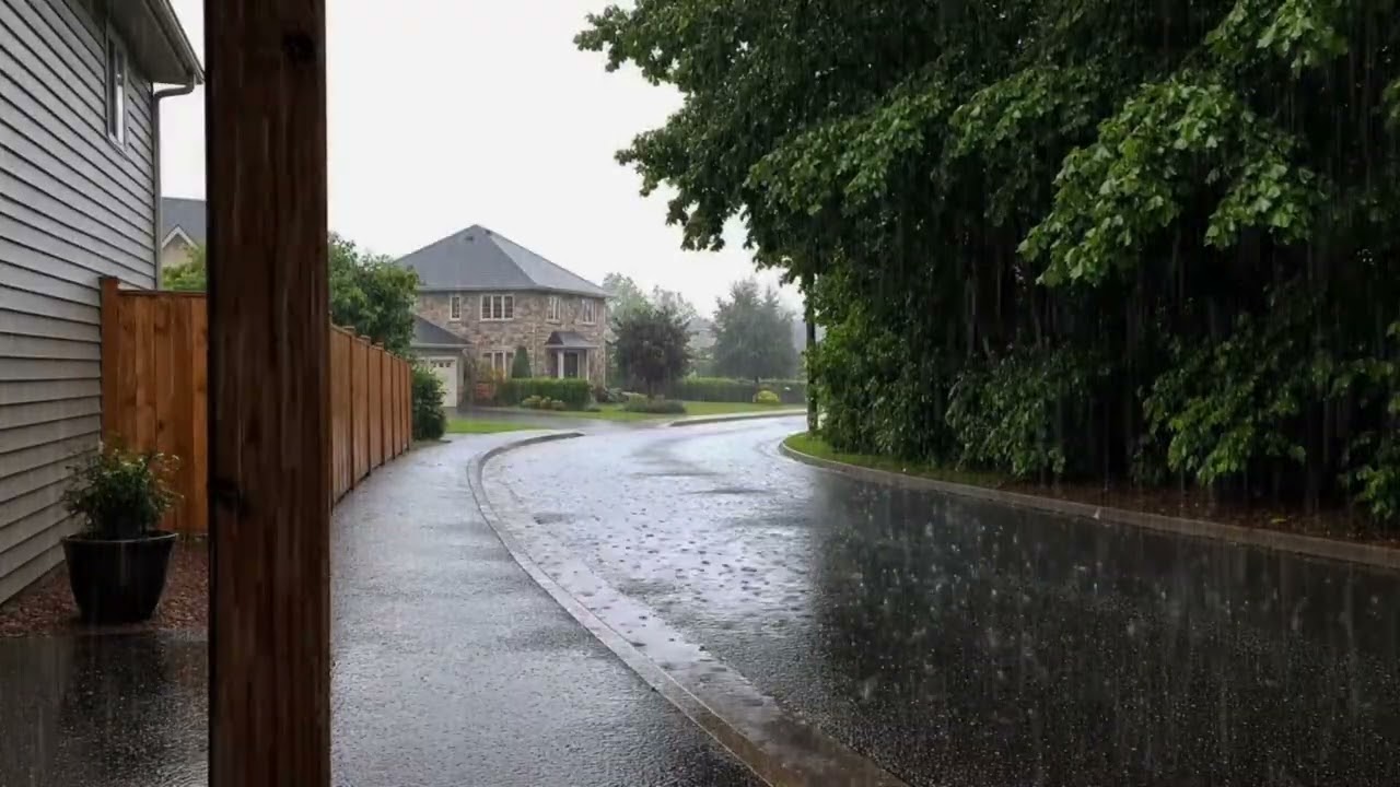 Whispers of Rain on Green Forest Leaves | Deep Sleep Ambience