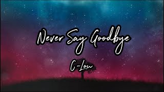 Never Say Goodbye(Official Lyric Video)