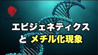 エピジェネティクス  メチル化現象とは？驚異の DNA 遺伝子発現の秘密！マインドセット、食生活、環境があなたの人生を変える！まさに思考は現実化する！DNAサイエンスの奥義！