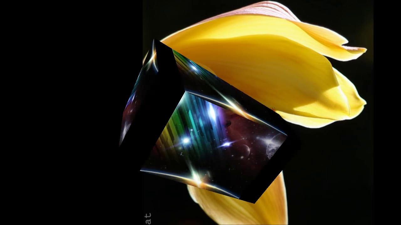 31 Oliver Good Morning Starshine HD With Lyrics YouTube 31 Oliver Good Morning Starshine HD With Lyrics YouTube