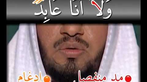 سورة الكافرون تجويد وترتيل