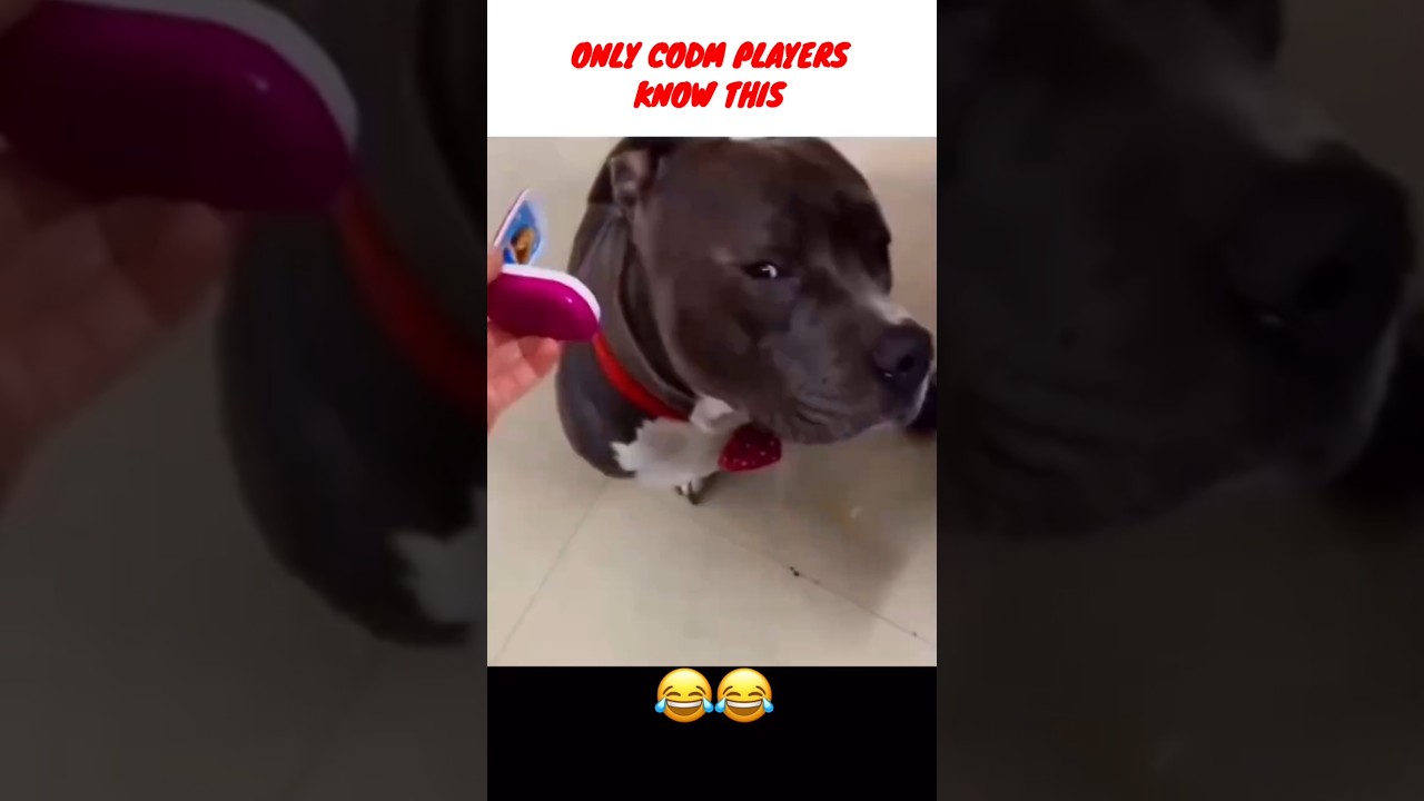 only search and destroy codm players know about this 