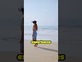 Travel Guide World Overview
