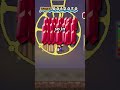 9 Hour Long Paper Mario Secret?