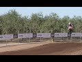 Loretta's Champs Battle: 2014 Vurb