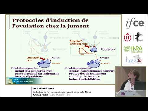 A. Duittoz - Journée de la recherche équine - 2018 - Induction de l'ovulation B-NGF