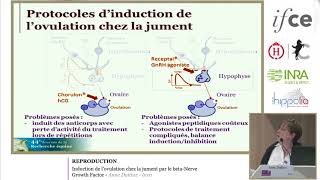 A. Duittoz - Journée De La Recherche Équine - 2018 - Induction De Lovulation B-Ngf