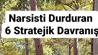 Narsisti Durduran 6. Stretejik Davranış ?