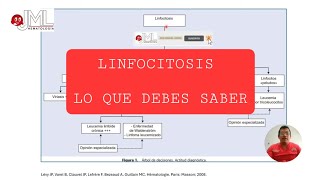 Linfocitosis. Diagnóstico Diferencial. Parte 1.