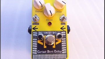 Circuit bent Delay pedal (Harsh Bass) by Psychiceyeclix