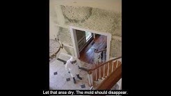 Mold Remediation Cost - Home Mold Remediation Low Cost Diy Home Repair & Fungus Removal Tips 