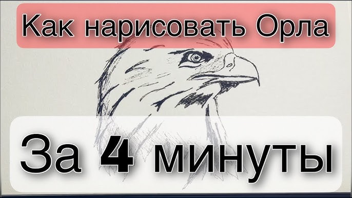 Про животных