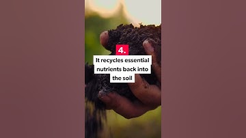 Top 5 Reasons Why You Should Start Composting? #Shorts