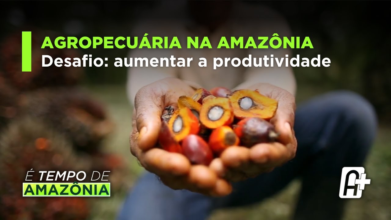 Agricultura na amazônia brasileira tem grande peso nacional e internacional