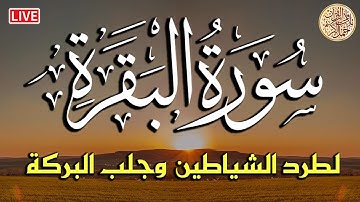 سورة البقرة كاملة لحفظ وتحصين المنزل وطرد الشياطين تلاوة عذبة هادئة للقارئ ماجد الزامل Sourah Baqara