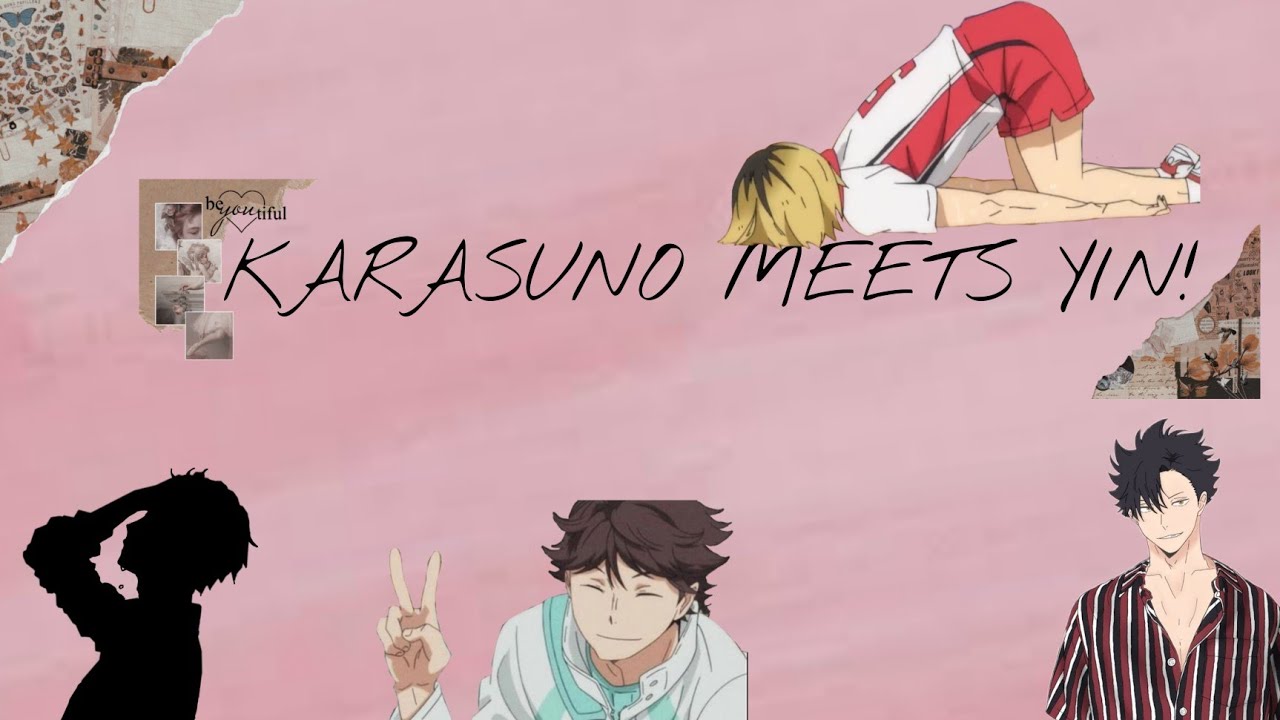 Haikyuu!! || Karasuno meets y/n|| (Y/n's harem) ||Haikyuu x y/n||