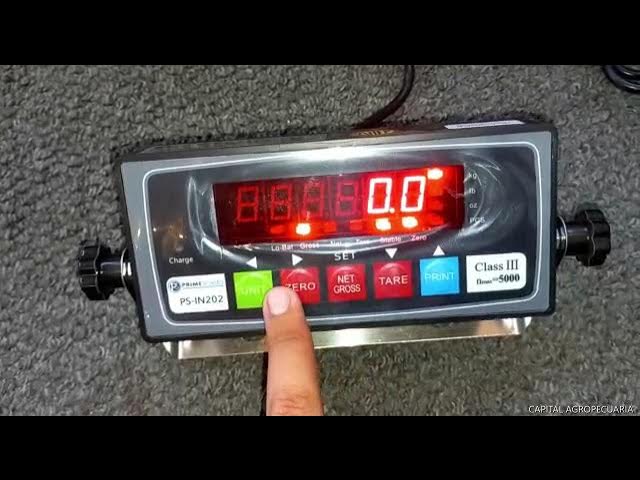 PS-IN202 NTEP Legal For Trade Weight Indicator - Prime Scales