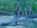 Boards of Canada - Forest Moon